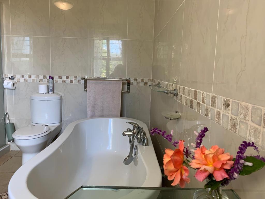 Mountain Rose Guesthouse Louis Trichardt Esterno foto